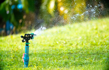 Wall Mural - Sprinkler for automatic lawn watering. Lawn cultivation and care, garden irrigation devices. Rainbow over the garden on a sunny day.