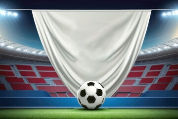 Wall Mural - European Football Championship match banner or poster	