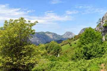 Wall Mural - Landscape of the Urkiola Natural Park. In the center, Mount Mugarra (969 m). Basque Country. Spain