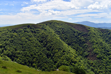 Wall Mural - Beech forest on Mount Urkiolamendi (1008 m). Urkiola Natural Park. Basque Country. Spain