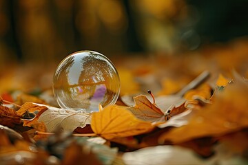 Aufkleber - a close up of a leaf with a water drop, The delicate touch of a bubble landing on a leaf