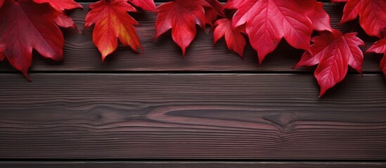 Poster - Autumn leaves in red hues surround a wooden surface creating a beautiful composition perfect as a copy space image