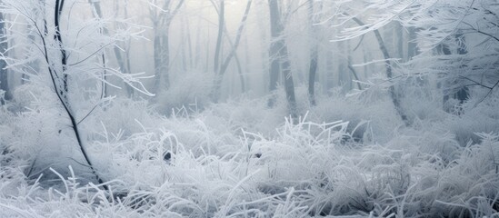 Poster - Copy space image of ice covered plants in a wild forest during winter