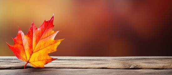 Poster - A beautiful wooden background with a single fallen autumn leaf in yellow orange and red hues creating a captivating autumn atmosphere Perfect for copy space image