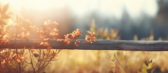 Poster - The background of the image is a blurred nature scene with a fence in the foreground leaving empty space for text or other elements. with copy space image. Place for adding text or design