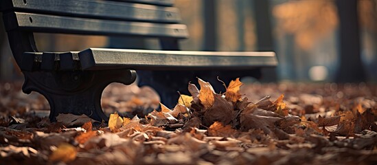 Aufkleber - A wooden bench covered with dead leaves providing an empty space for a copy space image