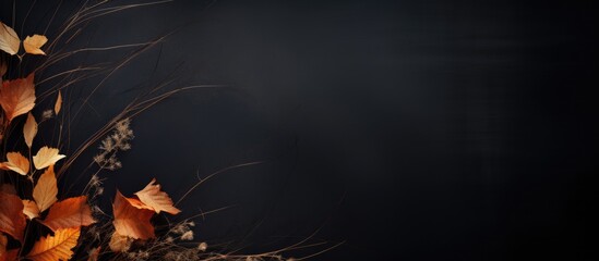 Poster - A dark autumn background featuring leaves and brown flax with empty space for text or images. with copy space image. Place for adding text or design