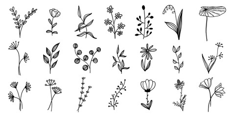 Floral wreath frames simple minimalist botanical scrapbook natural hand drawn scribble doodles set collection