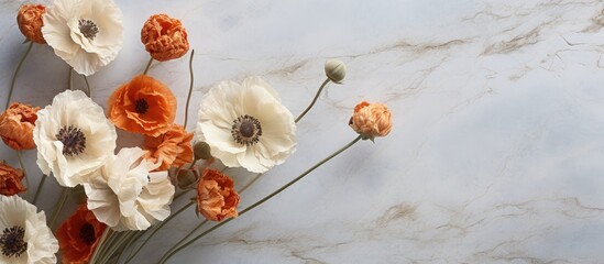 Poster - An overhead shot of dry poppy heads resting on a marble background with ample copy space