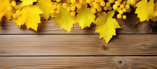 Poster - Golden currant leaves on a wooden background create a vibrant autumn scene with ample room for additional elements in the copy space image