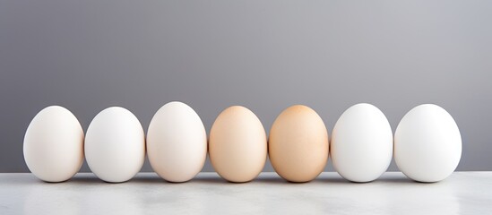 Aufkleber - A copy space image of chicken eggs white in color against a gray backdrop