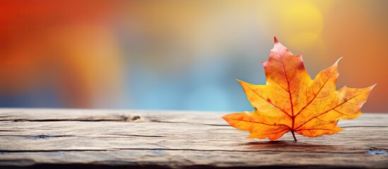 Poster - A beautiful wooden background with a single fallen autumn leaf in yellow orange and red hues creating a captivating autumn atmosphere Perfect for copy space image
