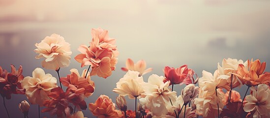 Poster - A beautiful view of close up flowers on a vintage background with ample room for a copy space image