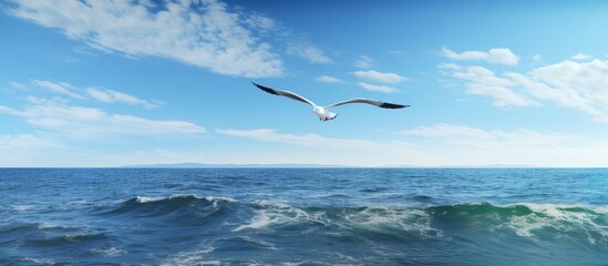 Poster - Oceanic waterfowl gracefully gliding through the vast expanse of the sea surrounded by serene copy space image