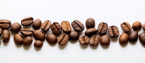 Aufkleber - Coffee beans arranged in a single broad line against a white backdrop Room for writing and promotional purposes with copy space available