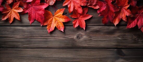 Poster - Autumn leaves in red hues surround a wooden surface creating a beautiful composition perfect as a copy space image