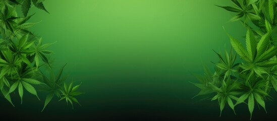 Poster - A green background with hemp leaves representing the concept of growing cannabis marijuana plants providing space for text. with copy space image. Place for adding text or design