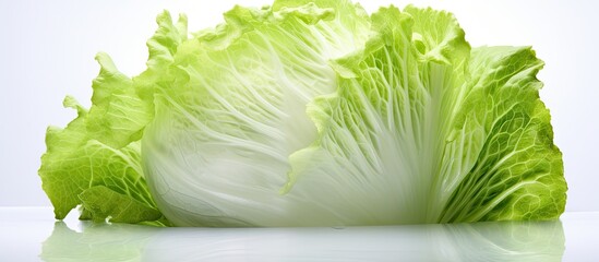 Poster - An image of an iceberg lettuce with a white background providing ample copy space for additional content