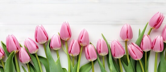 Poster - Pink tulips arranged on a white wooden background leaving space for additional images