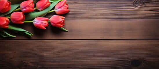 Aufkleber - Close up of a vibrant tulip frame against a rustic wooden background providing ample copy space for further elements
