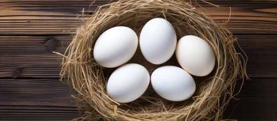 Aufkleber - Copy space image of white Easter eggs in a nest viewed from the top positioned on a wooden background providing room for text or words