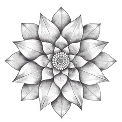 PNG Transparent of Intricate beautiful flower artwork