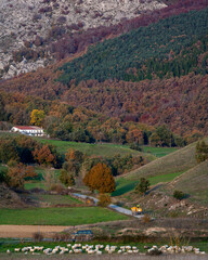 autumn landscape in the mountains