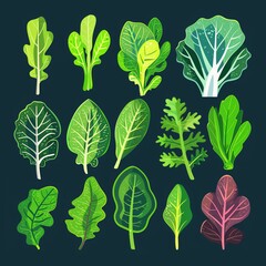 A colorful collection of various cartoon leafy greens with unique shapes and detailed patterns, perfect for healthy eating and nutrition concepts.