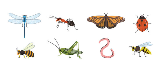 Garden insects cartoon set. Illustration of  dragonfly, ant, butterfly, ladybug, bee, grasshopper, worm, and wasp on a white background. Simple vector design for posters, stickers, and prints. 