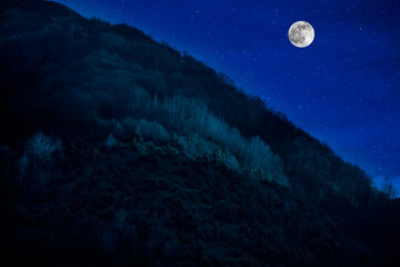 Wall Mural - mountain road through the forest on a full moon night. scenic night landscape of country road at nig
