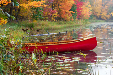Wall Mural - red wooden canoe on a calm northern minnesota lake with trees in autumn color
