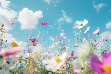 A vibrant field of wildflowers under the blue sky, with colorful petals in various shapes and sizes gently swaying to sunlight, creating an enchanting scene that captures nature's beauty at its most s