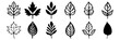 © FutureFFX - Leaf silhouettes set, pack of vector silhouette design, isolated background