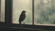 © buraratn - A bird perched on an open window sill, symbolizing the connection and opportunity in freedom
