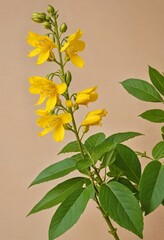 Sticker - Yellow Flowers and Green Leaves Against a Beige Background