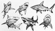 © 2rogan - Black and white tattoos of animal drawings featuring fish and sharks