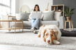 © Pixel-Shot - Cute Australian Shepherd dog with owner using laptop at home