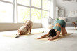 © Pixel-Shot - Sporty young woman with Australian Shepherd dog doing yoga at home
