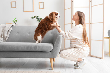 Wall Mural - Young woman with adorable cavalier King Charles spaniel on sofa at home