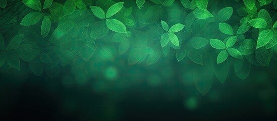 Sticker - A gradient green background made up of abstractly blurred green leaves with copy space image