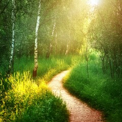 Forest path bathed in sunlight Narrow path winding through a green forest Sunlit path leading into a lush forest Mysterious path disappearing into the woods background 