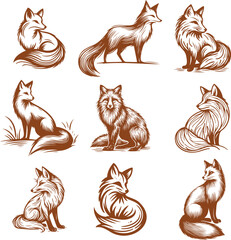 Wall Mural - fox collection of vector monochrome sketch drawings on a white background