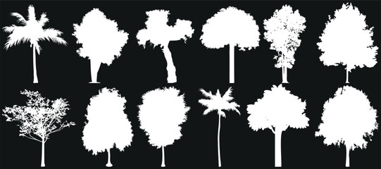 Wall Mural - tree silhouettes vector set. perfect for nature designs, botanical illustrations, landscape decorati