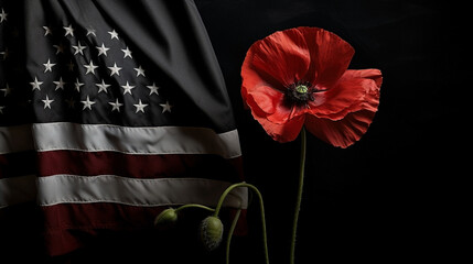 An American flag and poppy flower on a dark background. Remembrance day poppy Red poppies