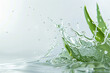 © Running opossum - Close up of fresh aloe vera leaves with water droplets for natural skincare and beauty treatment, showcasing the plant's macro details and organic purity in a calming spa environment