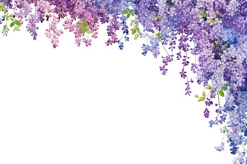 Sticker - PNG  Backgrounds wisteria flower lilac.