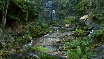 Wall Mural - Australia nature travel landscape. Waterfall in Tasmania jungle forest