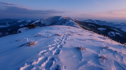 Wall Mural - A mountain top covered in snow with a beautiful sunset in the background