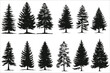 © Mahmud Hasan Rashed - Christmas trees silhouettes, Christmas trees pictogram set, Pine tree silhouette, Silhouette of pine trees, Forest fir trees, Forest, Pine, Tree, Nature, Pine tree, Christmas tree, Decorated tree