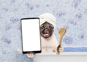 Poster - Happy Pug puppy with towel on it head takes the bath, holds shower brush and shows big smartphone with white blank screen in it paw